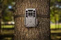 BUSHNELL 24MP prime brown low glow