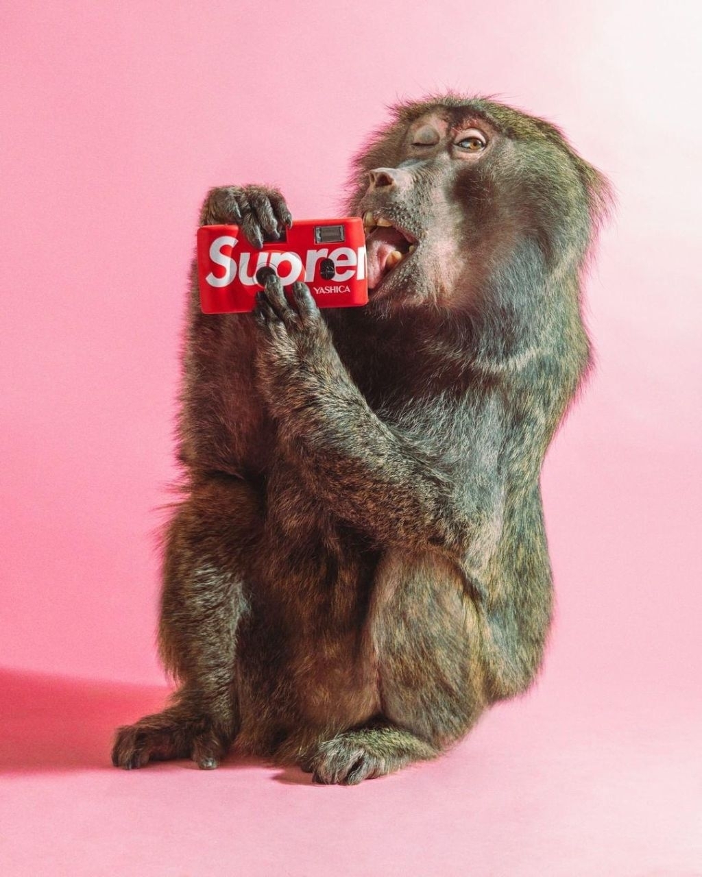 Supreme Yashica MF-1 Supreme rot