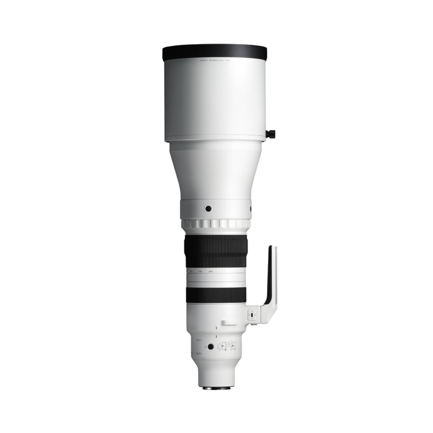 Sigma 300-600mm 1:4 DG OS Sports für Leica/Panasonic L-Mount