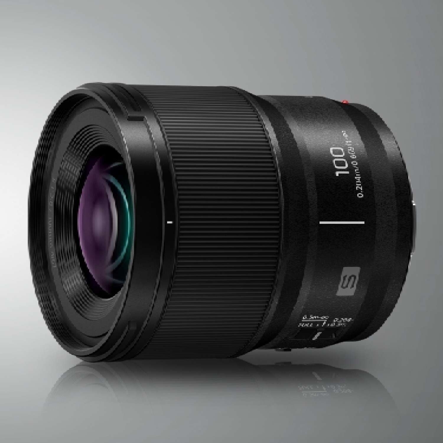 Panasonic LUMIX S 100mm 1:2,8 Macro (S-E100E)